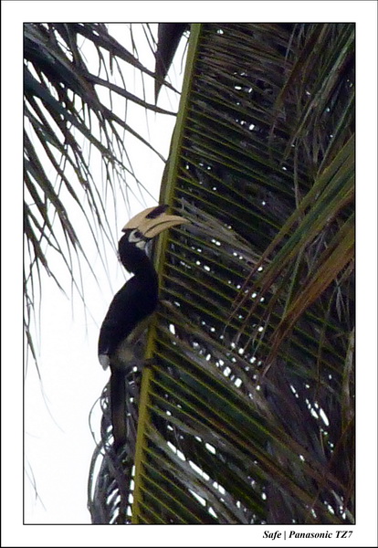 2011 - 03 - Koh Ngai 058